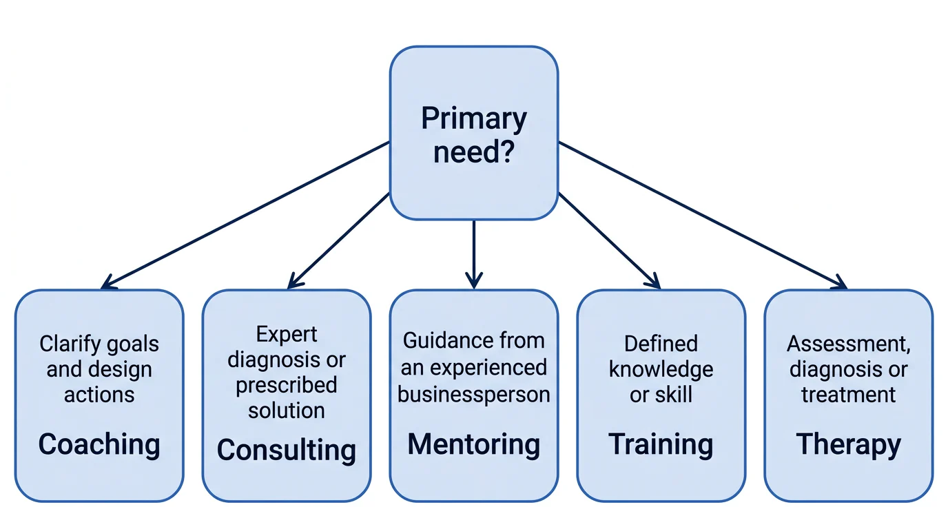A decision diagram matching five primary needs with coaching, consulting, mentoring, training or therapy.