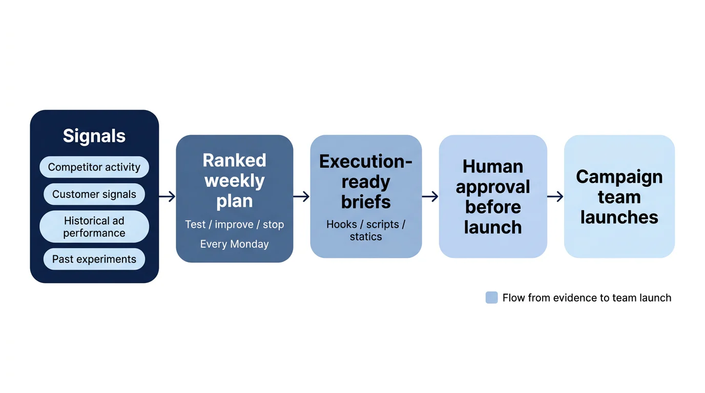 A five-step flow from four creative inputs to a ranked weekly plan, briefs, human approval and campaign-team launch.