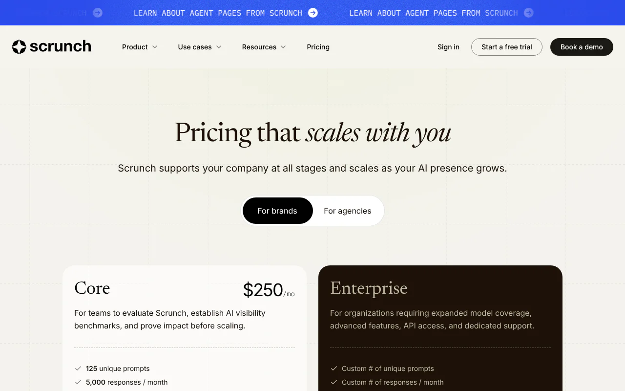 Scrunch's website