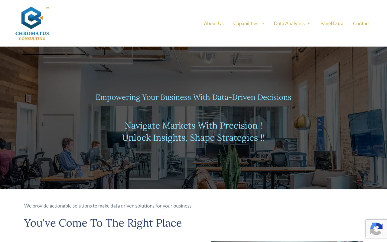 Chromatus Consulting's website